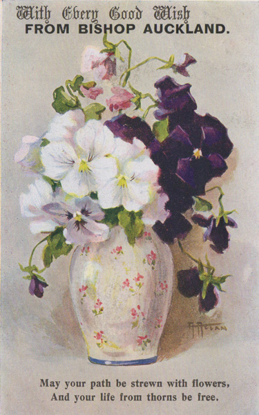 <h2>POSTCARD FROM BISHOP AUCKLAND</h2><p class='caption'>Courtesy of Pat Robbins</p>